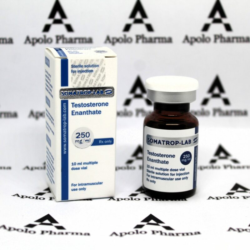 Enantato de Testosterona 250mg/ml Somatrop Lab